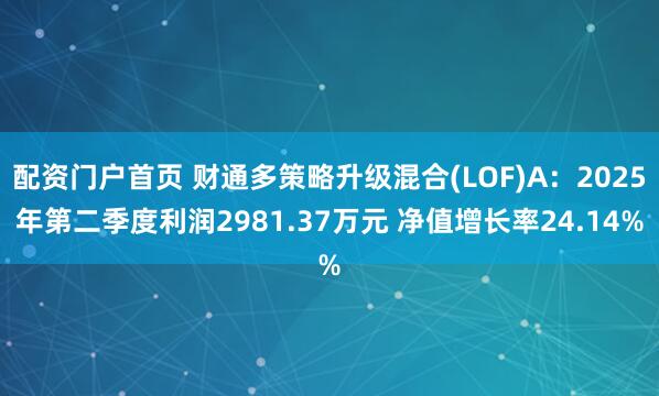 配资门户首页 财通多策略升级混合(LOF)A：2025年第二季度利润2981.37万元 净值增长率24.14%