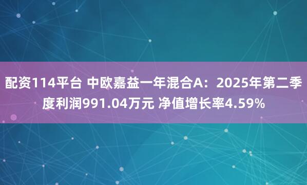 配资114平台 中欧嘉益一年混合A：2025年第二季度利润991.04万元 净值增长率4.59%